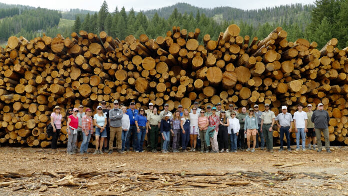 SVR_Healthy Forest Initiative_Sustainability_04.08.25_4